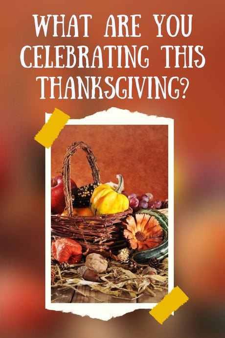 What are You Celebrating this Thanksgiving?